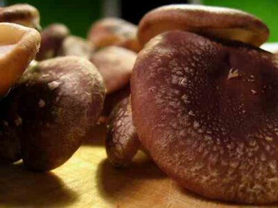 Cancer-Fighting Foods: Which Dietitian Do You Trust? Image